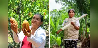 Conoce a las lideresas amazónicas que sobresalen en el ámbito agrícola: "Me dieron a elegir entre mi familia o mi trabajo" Conoce a las lideresas amazónicas que sobresalen en el ámbito agrícola: "Me dieron a elegir entre mi familia o mi trabajo"