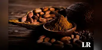 No fue en México ni Perú: descubre el país de Sudamérica donde nació el cacao, según estudio