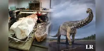 Increíble hallazgo: encuentran esqueleto de titanosaurio de 70 millones de años en Francia Increíble hallazgo: encuentran esqueleto de titanosaurio de 70 millones de años en Francia