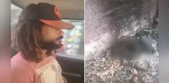 Hombre denunciado por quemar vivos a perros y gatos en Huaral fue liberado por "falta de pruebas" Hombre denunciado por quemar vivos a perros y gatos en Huaral fue liberado por "falta de pruebas"