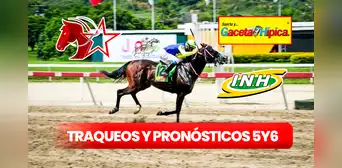 Traqueos y pronósticos 5y6 La Rinconada, 17 de marzo: datos fijos de Gaceta Hípica, Fusión Hípica y Línea Brava Traqueos y pronósticos 5y6 La Rinconada, 17 de marzo: datos fijos de Gaceta Hípica, Fusión Hípica y Línea Brava