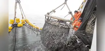 En 36 años, nadie ha pedido permiso para pesca industrial en reserva de Paracas
