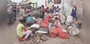 1,7 millones de limeños trabaja, pero gana menos de S/800