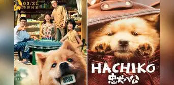 ‘Hachiko 2’: fecha de estreno, sinopsis, tráiler y más sobre la secuela del perro ‘más fiel del mundo’ ‘Hachiko 2’: fecha de estreno, sinopsis, tráiler y más sobre la secuela del perro ‘más fiel del mundo’