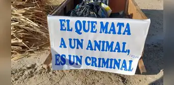 Piura: Policía detiene a hombre tras ultrajar y causar la muerte a una perrita