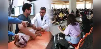 UNMSM: ¿cuáles son los servicios a bajo costo que ofrece para los estudiantes y público en general? UNMSM: ¿cuáles son los servicios a bajo costo que ofrece para los estudiantes y público en general?