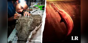 Descubren los fósiles del delfín de río más grande de la Tierra en la Amazonía peruana Descubren los fósiles del delfín de río más grande de la Tierra en la Amazonía peruana