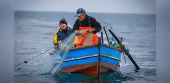 Camones y Espinoza pretenden modificar ley que favorece a pescadores artesanales