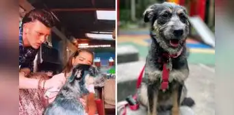 'Rigo': la conmovedora historia de Dualipa, la perrita rescatada que actúa como Mijito en la serie