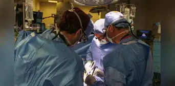 Médicos de EE. UU. logran realizar el primer trasplante de riñón de cerdo a un paciente vivo