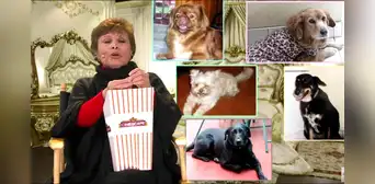 Irma Maury prefirió a sus perros antes que seguir con el elenco de ‘AFHS’, contó Efraín Aguilar