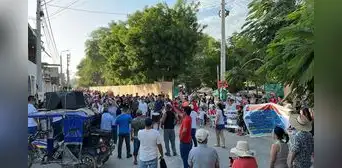 Parque de las Aguas en Piura: vecinos protestan por muerte de aves y caída de nidos tras tala de árboles