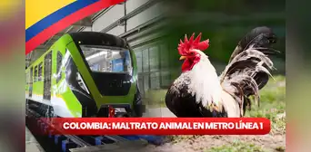 Maltrato animal en Bogotá: despiden a trabajador por quitarle la vida a un ave como parte de un ritual