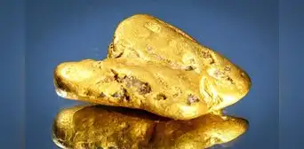 Descubren la pepita de oro más grande de Inglaterra con un detector malogrado: está valorizada en US$38.000 Descubren la pepita de oro más grande de Inglaterra con un detector malogrado: está valorizada en US$38.000