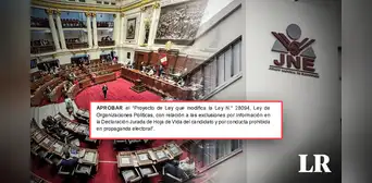 JNE aprueba PL que favorece a candidatos que omitan información en declaraciones juradas JNE aprueba PL que favorece a candidatos que omitan información en declaraciones juradas