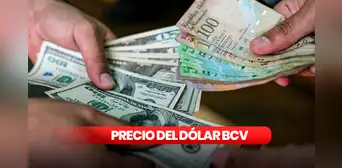 Dólar BCV HOY, martes 26 de marzo: ¿cuál es el precio del dólar en Venezuela?