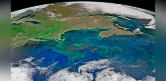 El océano cuyas corrientes van en sentido contrario y podrían colapsar por el cambio climático El océano cuyas corrientes van en sentido contrario y podrían colapsar por el cambio climático