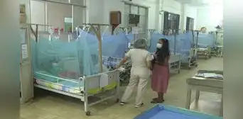 Dengue en Lambayeque: en lo que va del año, se reporta casi 4.000 casos y 12 fallecidos Dengue en Lambayeque: en lo que va del año, se reporta casi 4.000 casos y 12 fallecidos