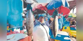 Consumo de pescado se triplicará en Semana Santa