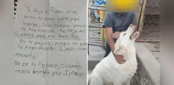 Niño se reencontró con perrito que dejó en albergue: su tierna historia es viral Niño se reencontró con perrito que dejó en albergue: su tierna historia es viral