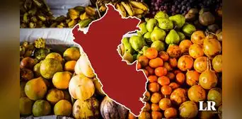 Descubre la fruta producida en Perú que Países Bajos y EE. UU. no pueden dejar de consumir: venta creció un 448%