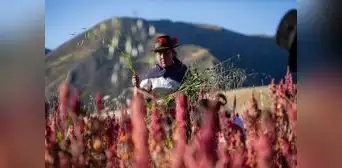 Intereses cobrados por Agrobanco a pequeños agricultores caerán de 30% a 12%, anuncia Midagri Intereses cobrados por Agrobanco a pequeños agricultores caerán de 30% a 12%, anuncia Midagri