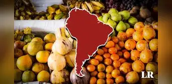 Conoce la fruta producida en Sudamérica cuya demanda en Países Bajos y EE.UU. se disparó un 448%