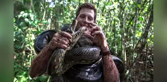 ¿Cómo es la anaconda verde, la serpiente más grande del mundo hallada muerta en el Amazonas?