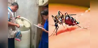 Dengue en Colombia: Instituto Nacional de Salud alertó por más de 55.000 casos durante el 2024 Dengue en Colombia: Instituto Nacional de Salud alertó por más de 55.000 casos durante el 2024