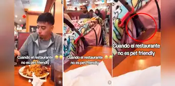 Peruano esconde a perrito en coche de bebé para ingresar a pollería no pet friendly: “'Firu' ni ladra” Peruano esconde a perrito en coche de bebé para ingresar a pollería no pet friendly: “'Firu' ni ladra”