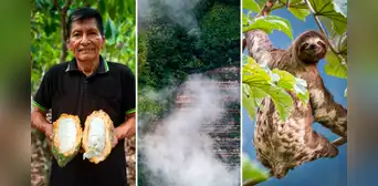 Alto Pelejo, un pequeño paraíso en medio de la deforestación en la Amazonía peruana Alto Pelejo, un pequeño paraíso en medio de la deforestación en la Amazonía peruana