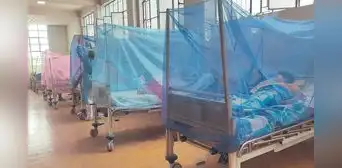Lima es la segunda región con más casos de dengue Lima es la segunda región con más casos de dengue