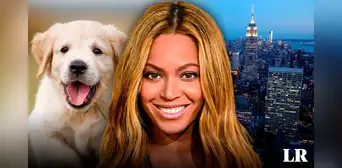 Descubre la asombrosa ciudad de Estados Unidos donde vive Beyoncé y hay más mascotas que niños