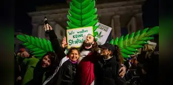 Alemania legaliza el consumo recreativo del cannabis: ley permite cultivar 3 plantas en casa