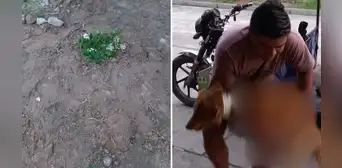 Iquitos: perrito muere tras recibir un disparo de hombre que protagonizó balacera