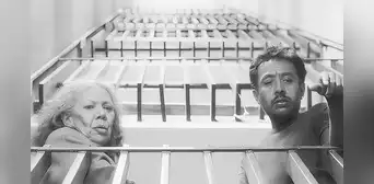 Cine mexicano: No nos moverán