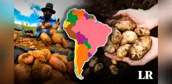 Descubre el país que produce más papa en el mundo y que supera a Perú y Bolivia Descubre el país que produce más papa en el mundo y que supera a Perú y Bolivia