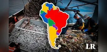 Los ÚNICOS países de Sudamérica en el top 10 de los mayores exportadores de productos pesqueros en el mundo Los ÚNICOS países de Sudamérica en el top 10 de los mayores exportadores de productos pesqueros en el mundo
