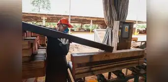 Crece la producción y las expectativas empresariales de inversión en el corto plazo asoman