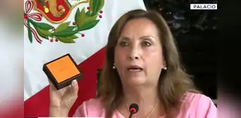 Dina Boluarte: "Mis pendientes y collar son de la marca Unique"