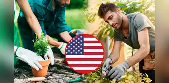 La cantidad de dinero que puede ganar un jardinero en Estados Unidos supera algunos sueldos mínimos