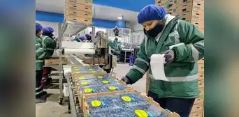 Agroexportaciones sumaron US$1.862 millones en el primer bimestre del año 2024 Agroexportaciones sumaron US$1.862 millones en el primer bimestre del año 2024