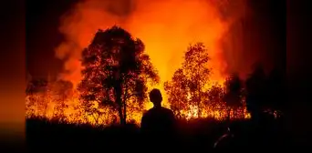 Incendios forestales en Venezuela: NASA muestra la magnitud de los siniestros Incendios forestales en Venezuela: NASA muestra la magnitud de los siniestros