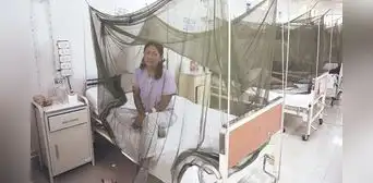 Dengue aumenta en Perú: pacientes cuentan cómo atraviesan las etapas de la enfermedad Dengue aumenta en Perú: pacientes cuentan cómo atraviesan las etapas de la enfermedad
