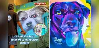 Iniciativa de ONG Buena causa logró más de 90 adopciones de mascotas en Surco con campaña de murales