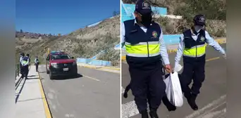 Arequipa: delincuentes envenenan 6 perros en barrio donde denuncian constantes robos a viviendas