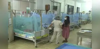 Nada detiene el dengue: muertes se elevan a 137  a nivel nacional