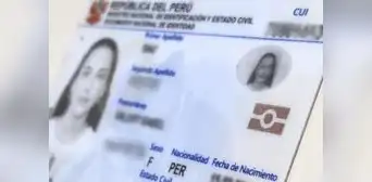 DNI ELECTRÓNICO será OBLIGATORIO para consulta de ficha Reniec: ¿desde cuándo?