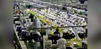 Midagri busca restituir beneficios tributarios a las agroexportadoras Midagri busca restituir beneficios tributarios a las agroexportadoras