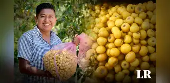 La maravillosa fruta con alta dosis de colágeno: evita el envejecimiento prematuro y desaparece las arrugas